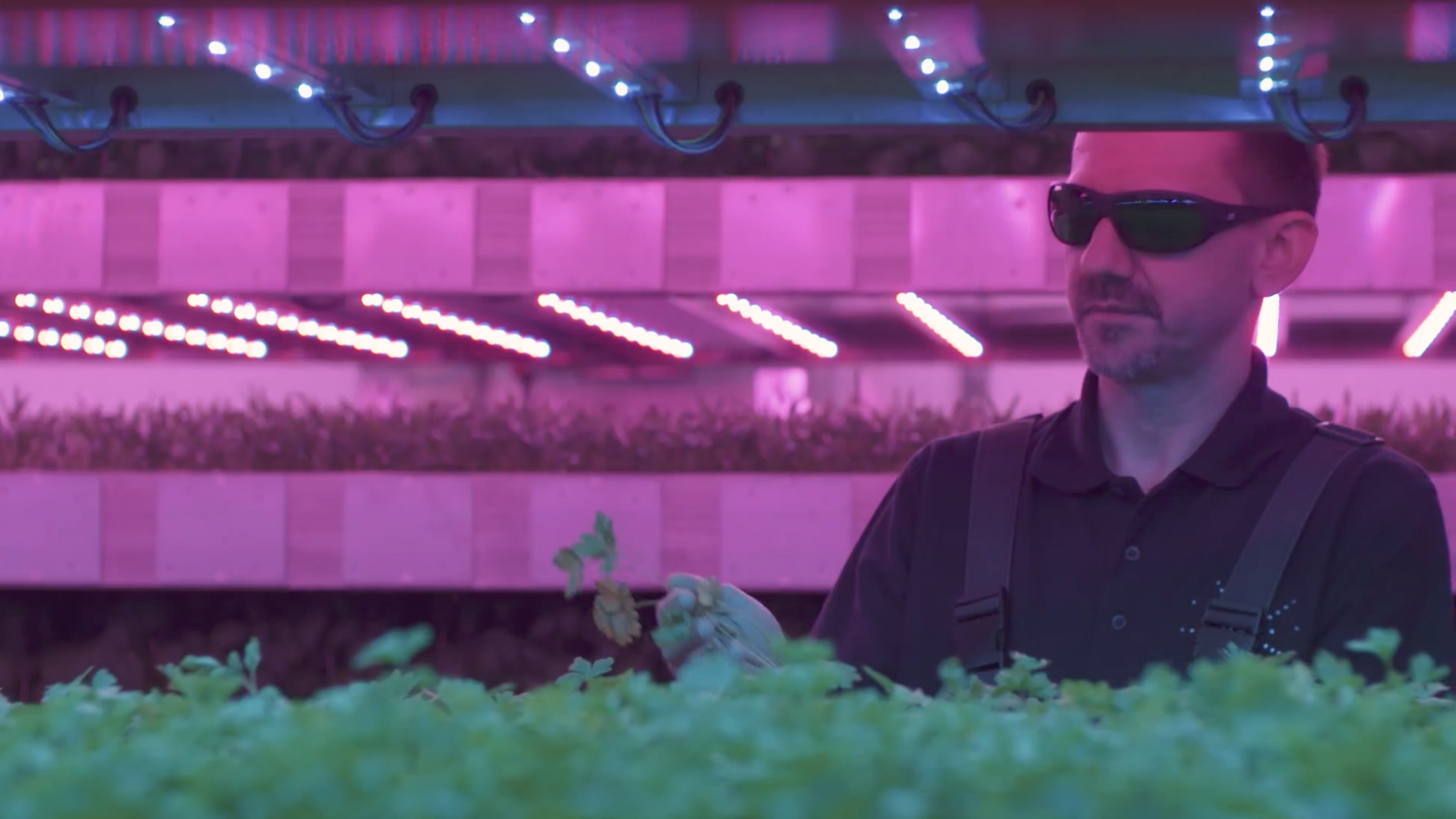 IGS Vertical Farm.png