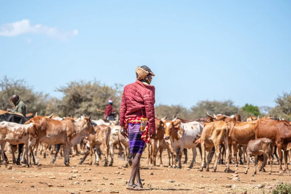 260116_Livestock_Website_TarrynLiddell-9.jpg