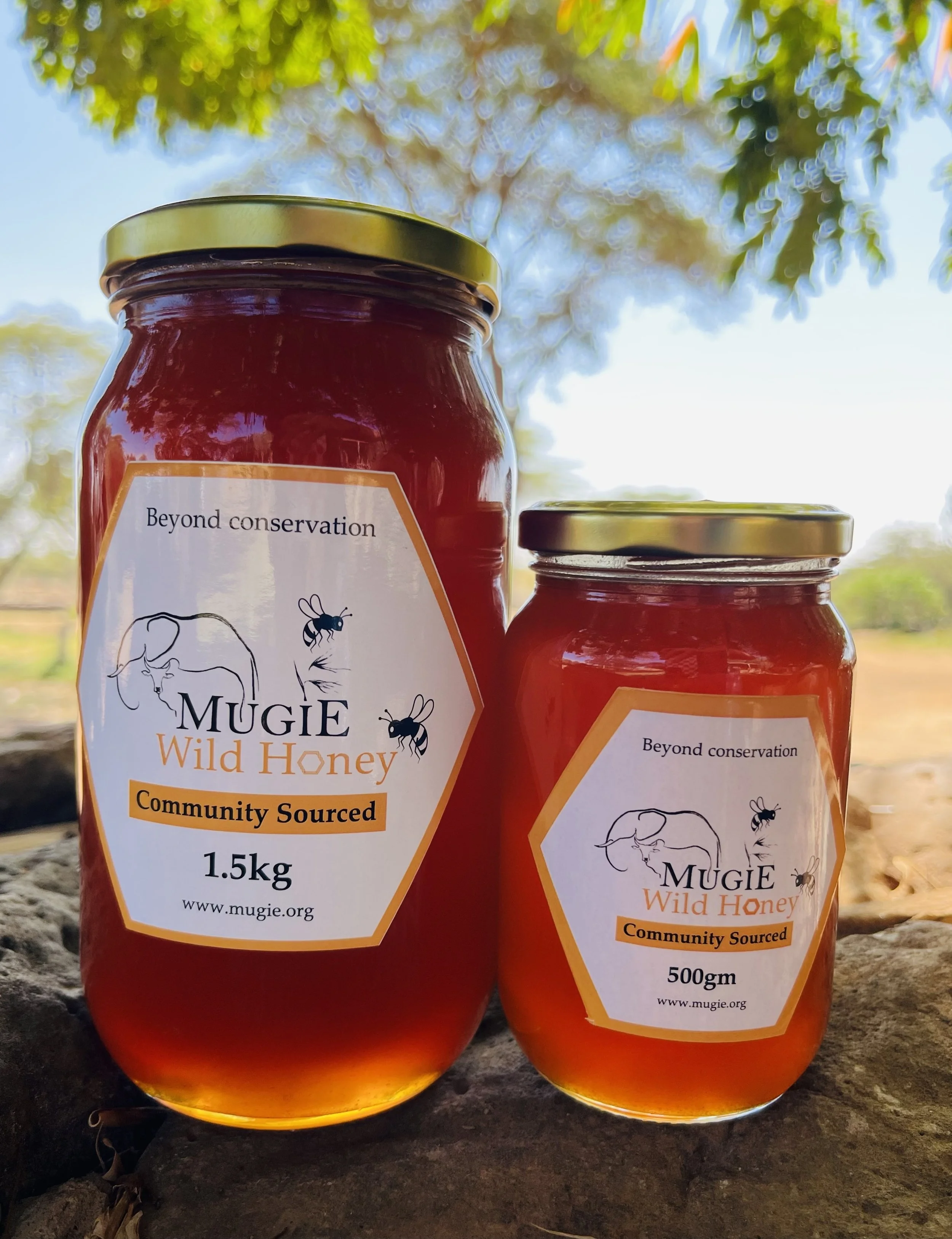 260821_Beekeeping_Mugie_2583.jpg