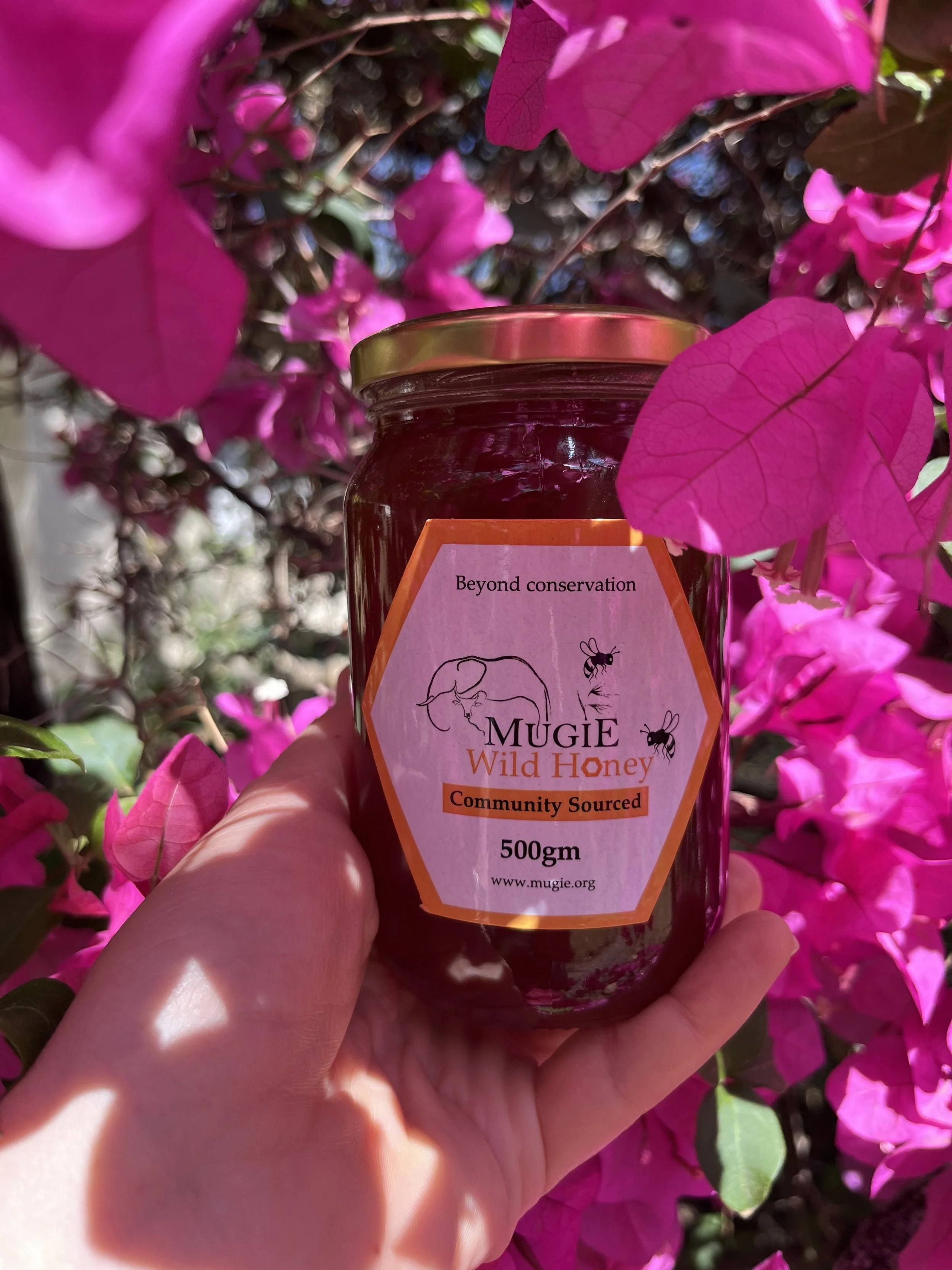260821_Beekeeping_Mugie_2598.jpg