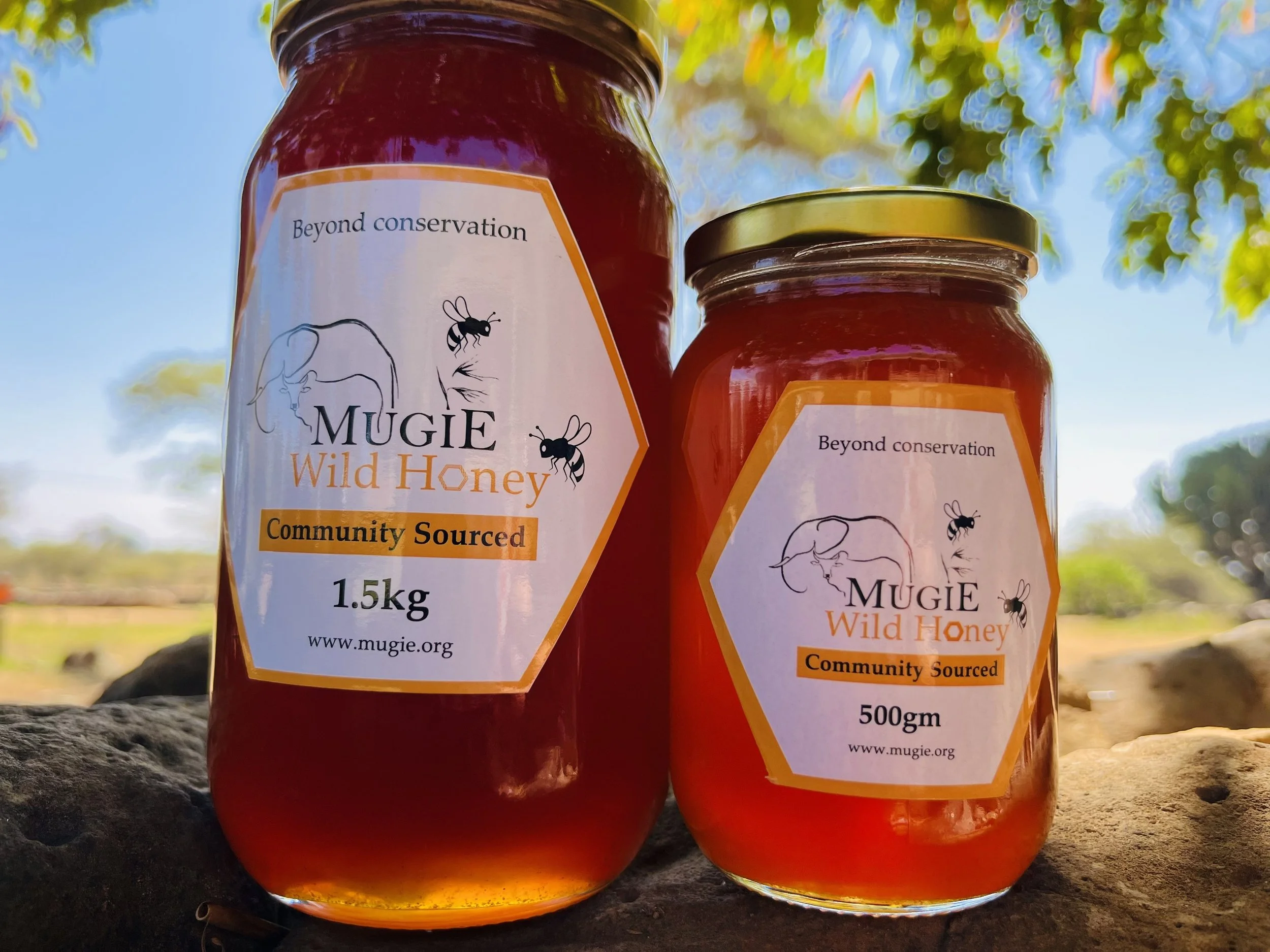 Beekeeping Project