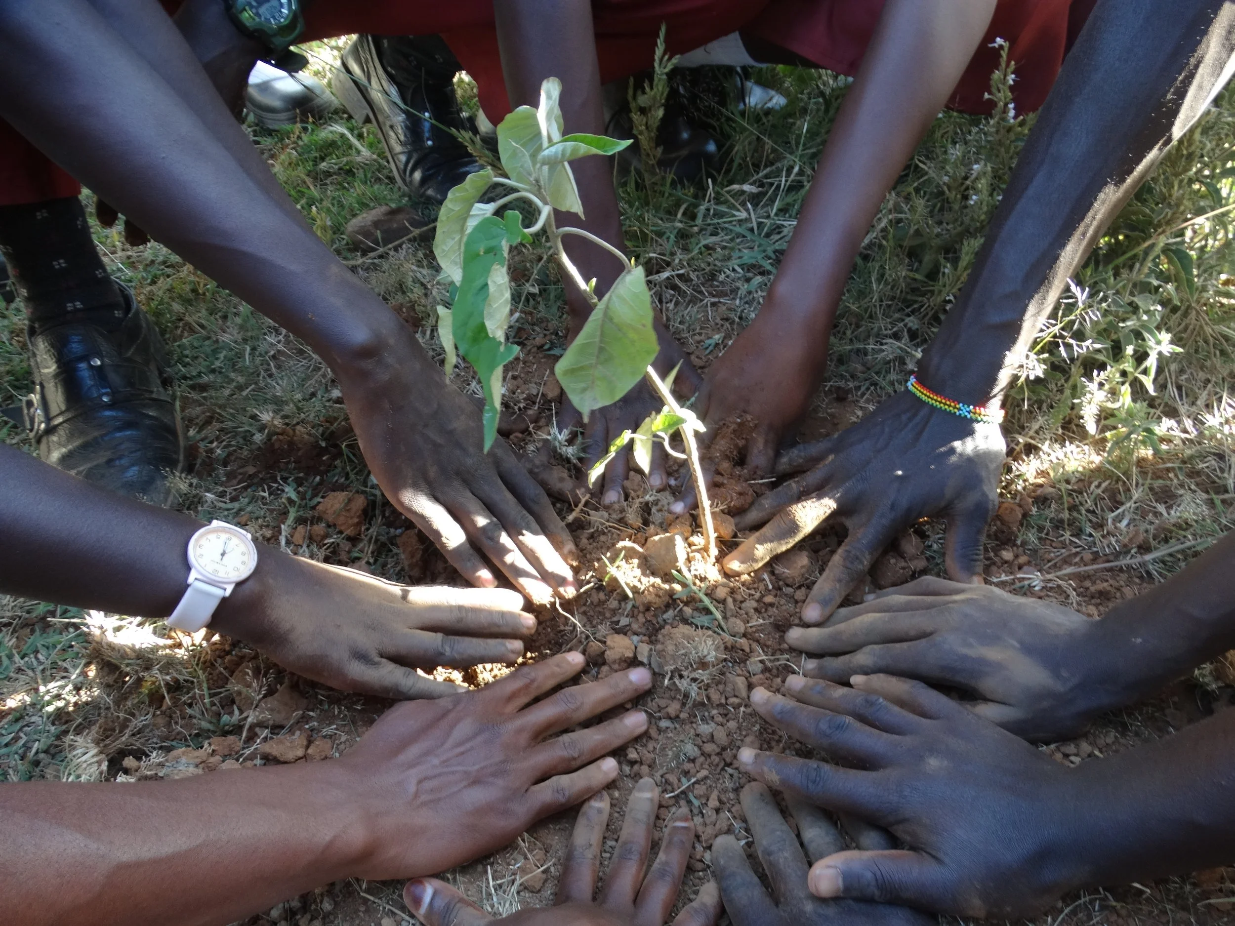 Mugie_EcoClub_DSC08022.JPG