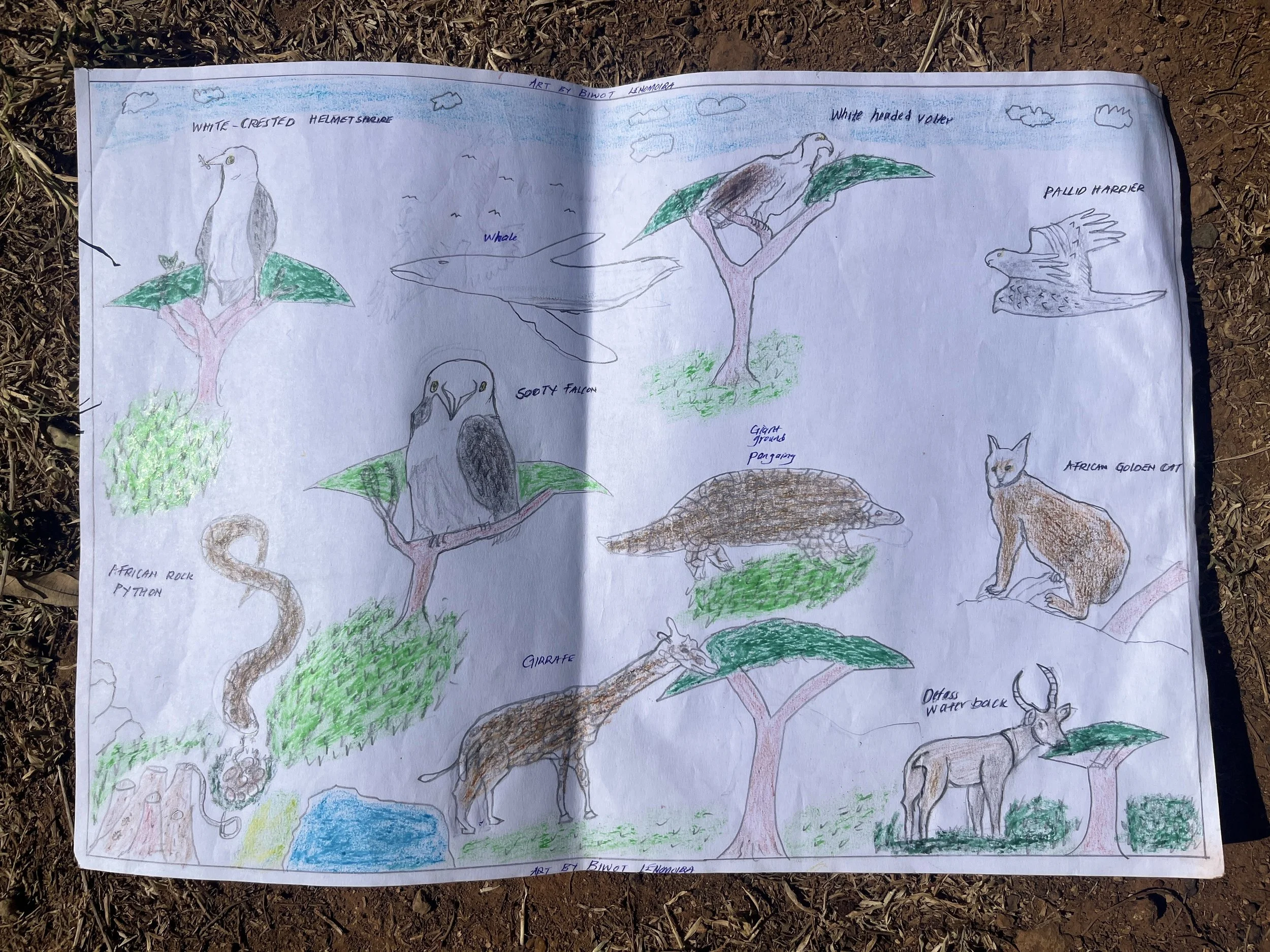 Mugie_EcoClub_Drawings_3286.jpg