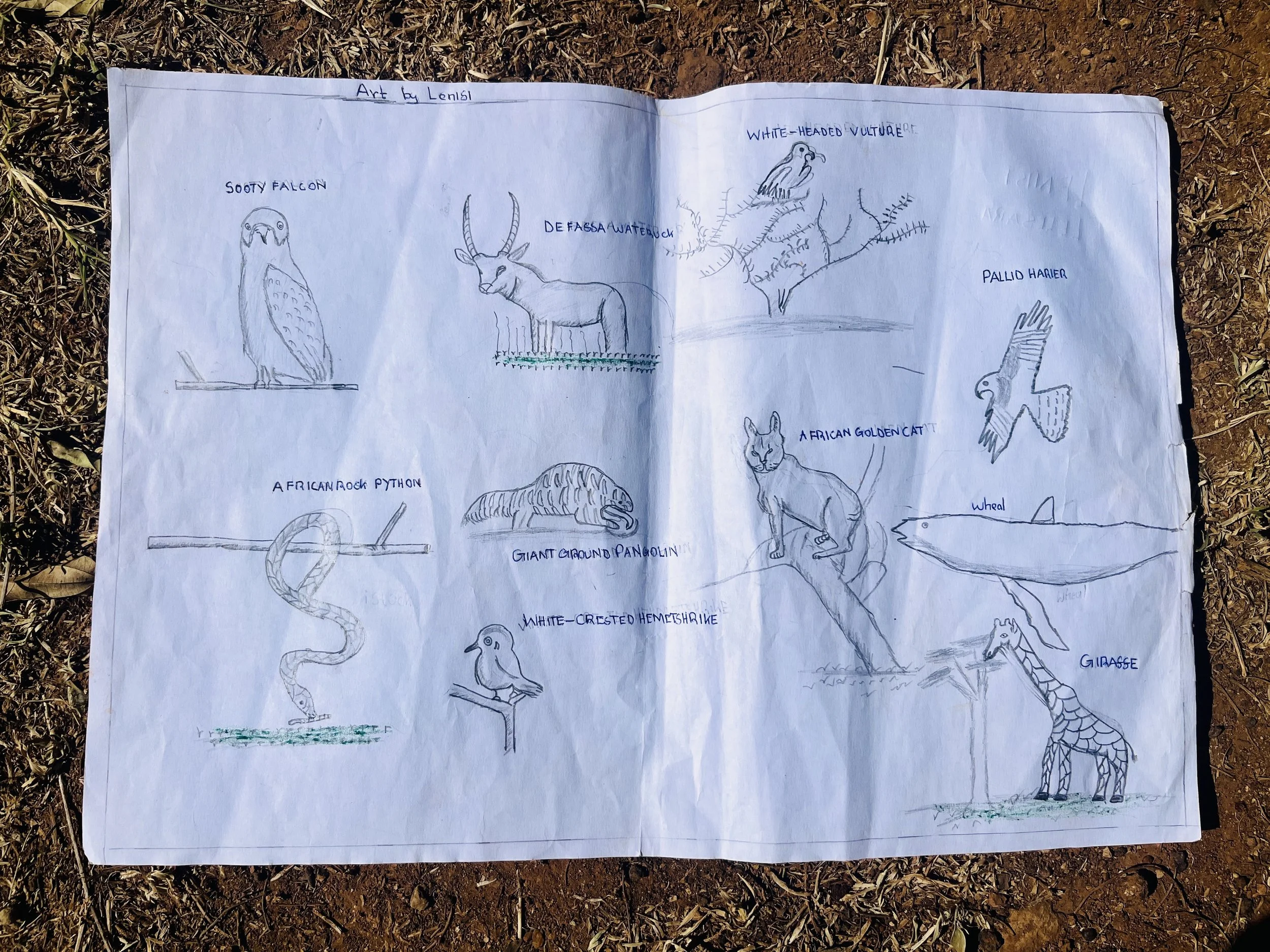 Mugie_EcoClub_Drawings_3289.jpg