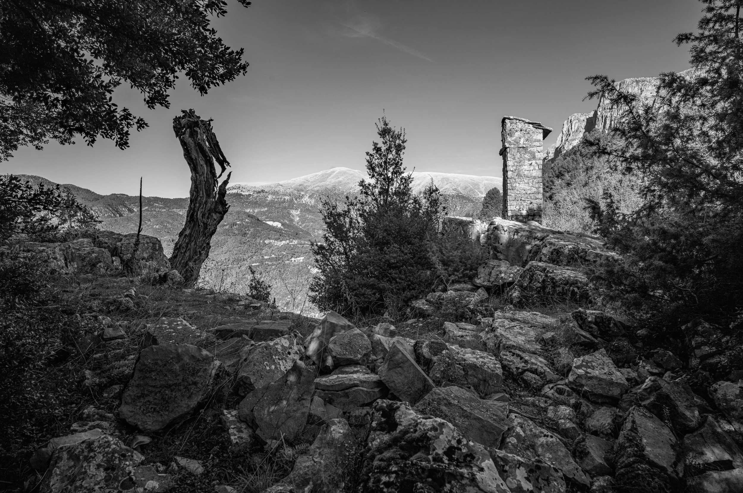 Untitled-06.jpg