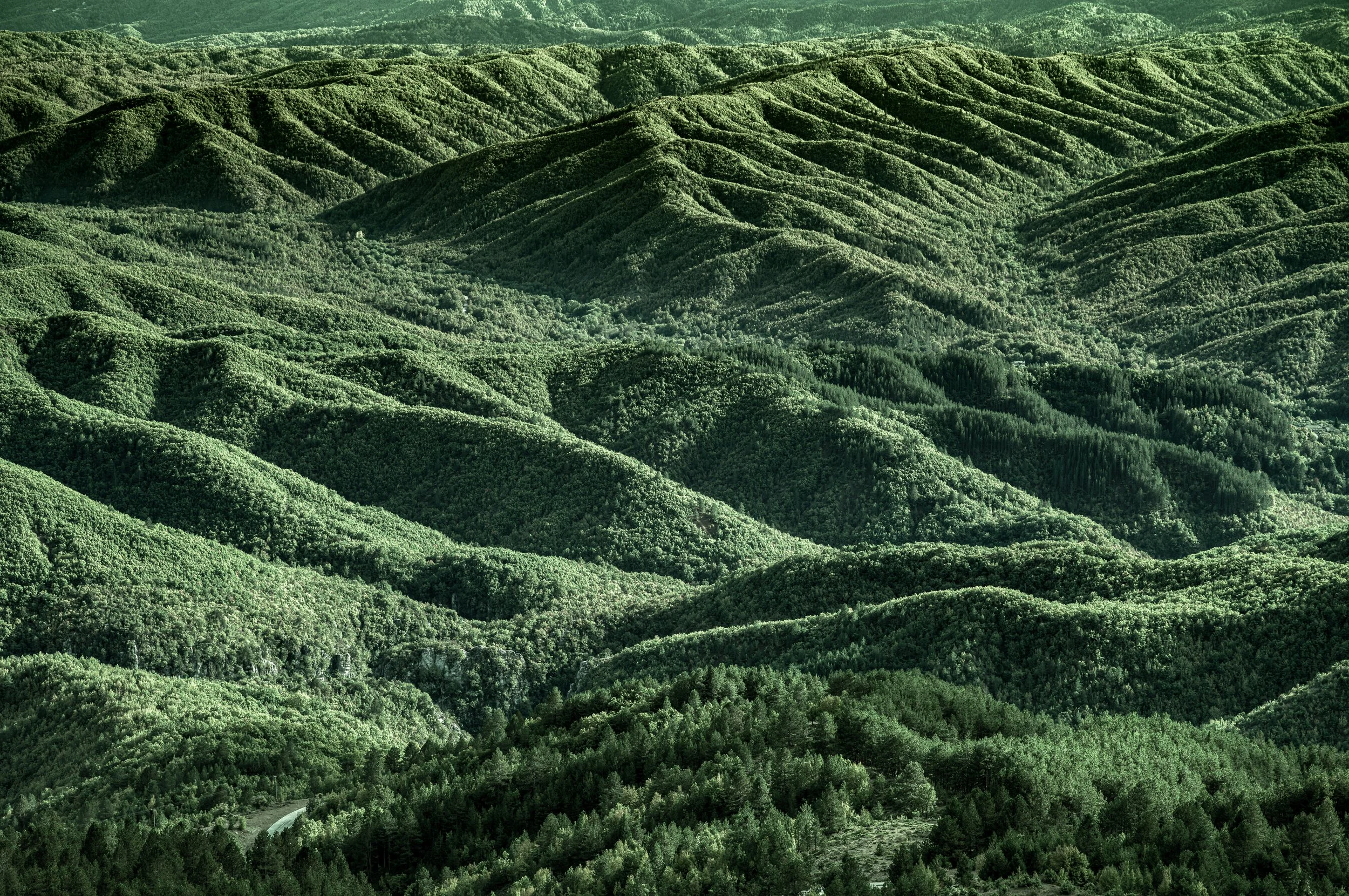 Rural-8.jpg