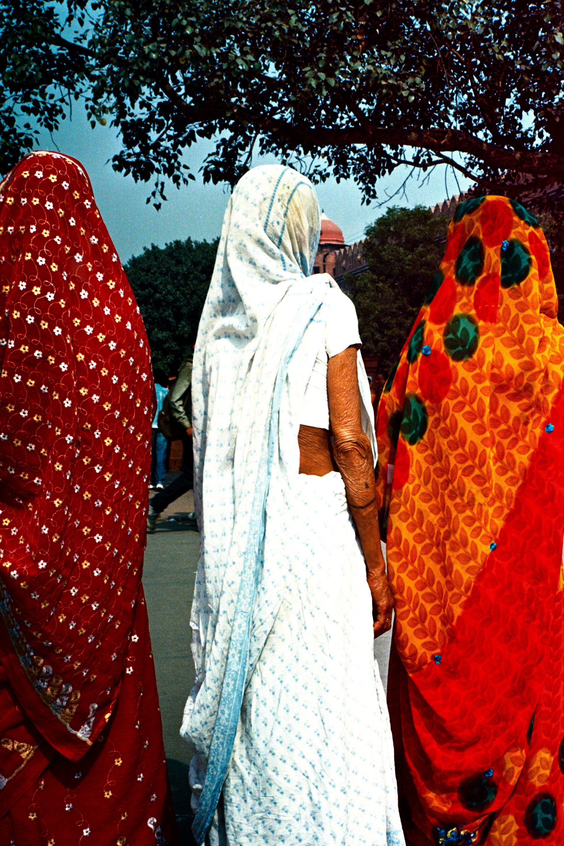 The Widows of Vrindavan.jpg