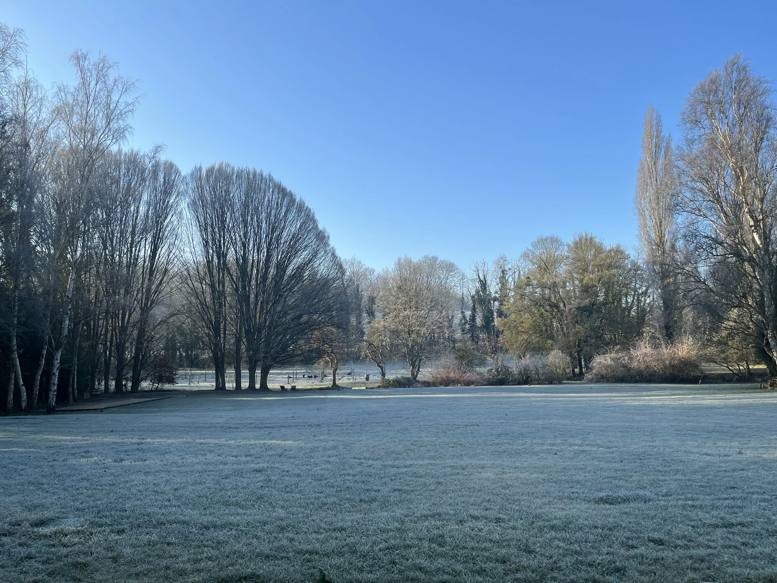 IMG_4064.jpeg