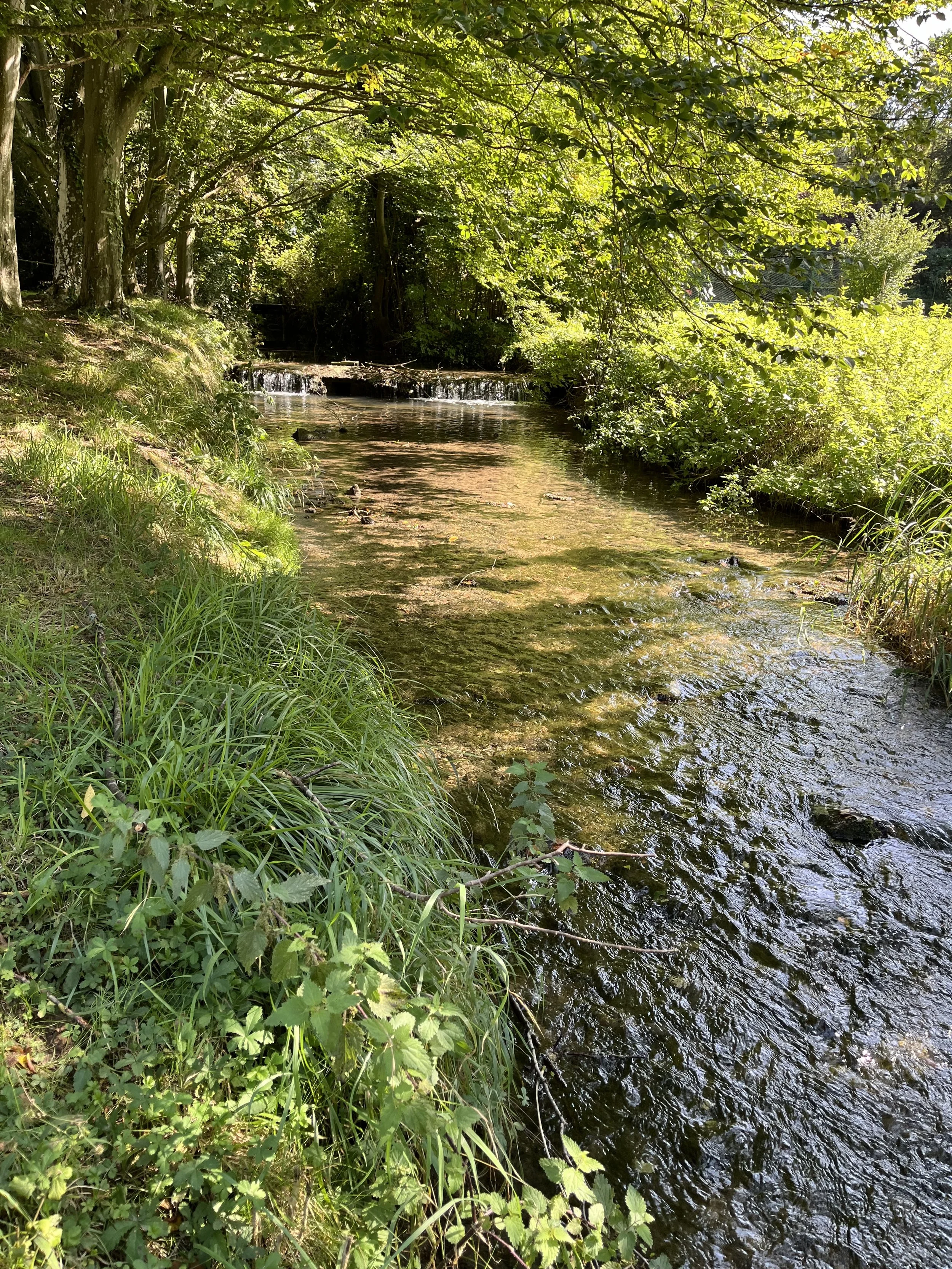 IMG_0333 2.jpeg