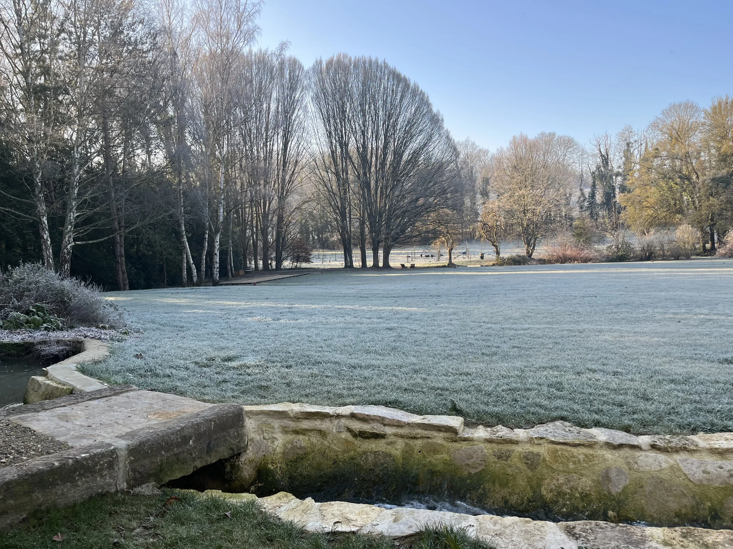 IMG_4063.jpeg
