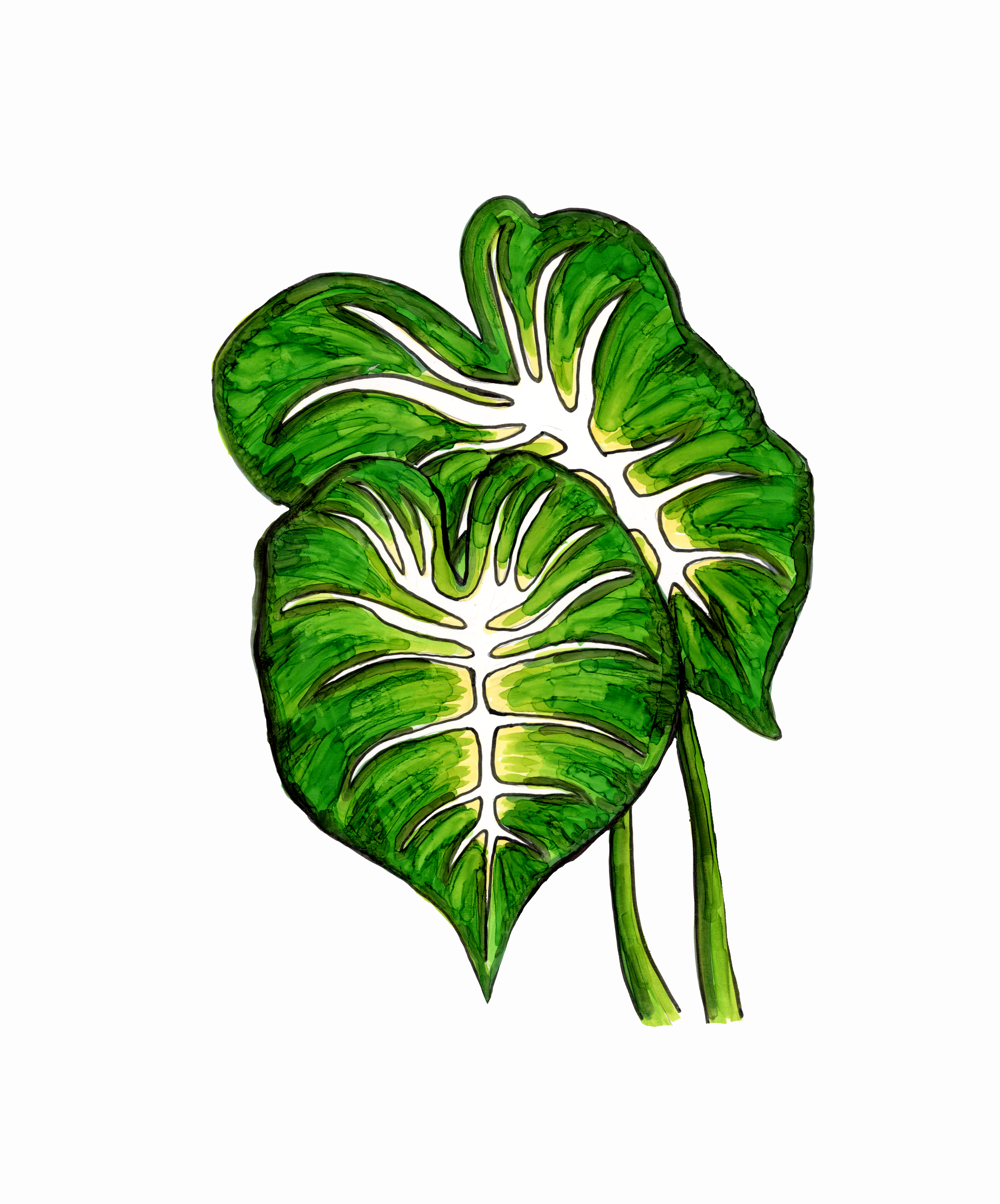 Final-green leaf alcohol marker.png