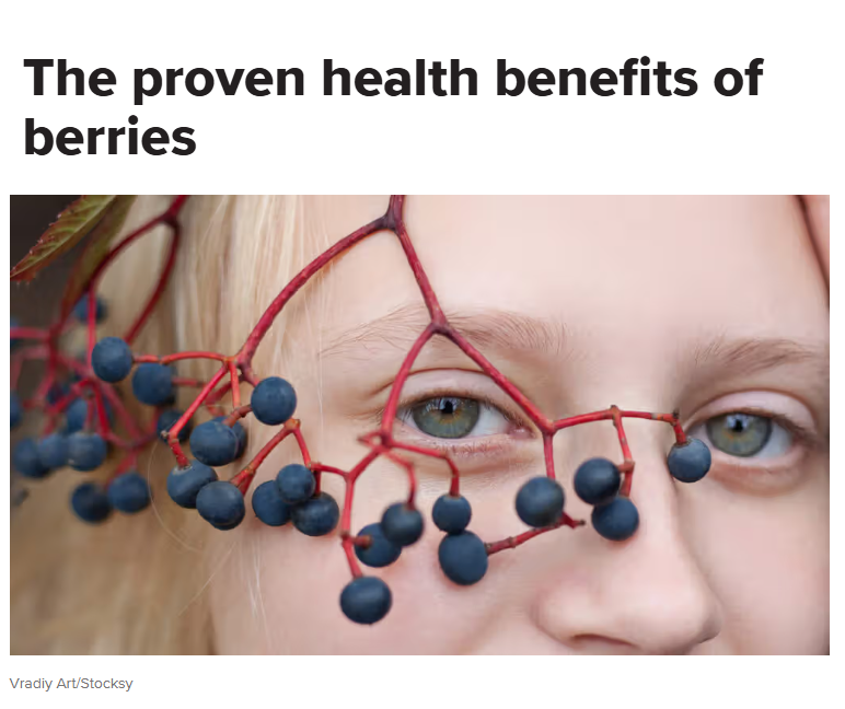 berries.png