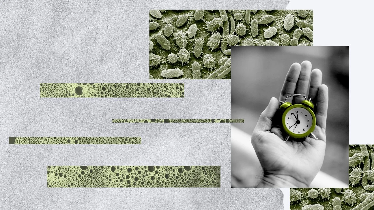 Intermittent-fasting-microbiome-collage-1296x728-header.jpg