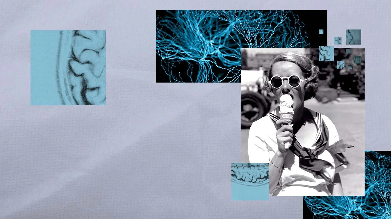 eating-brain-circuits-collage-1296x728-header.jpg