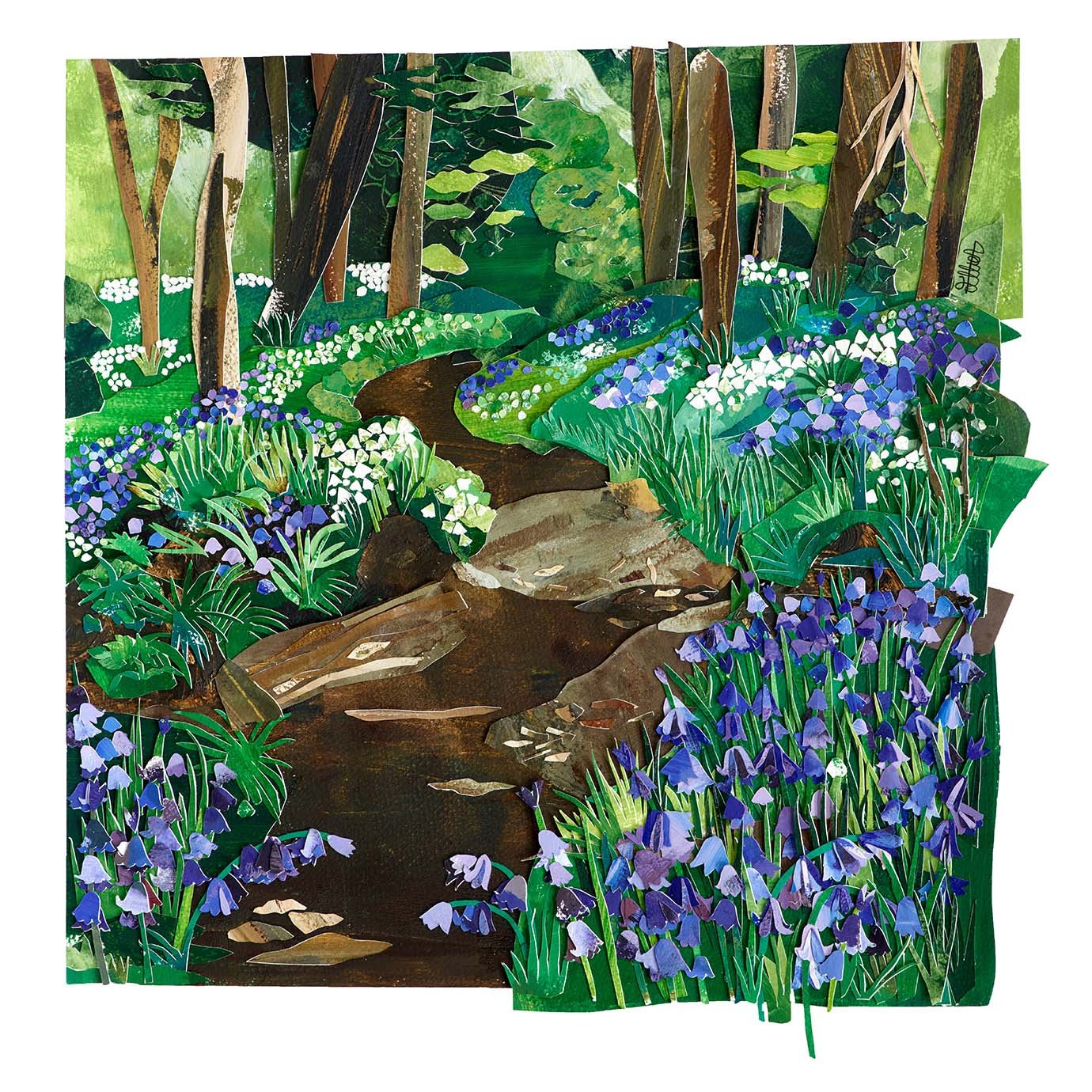 Bluebell Woods