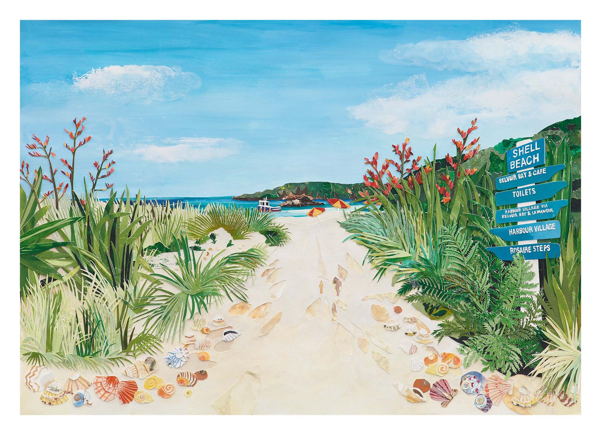 Shell Beach 