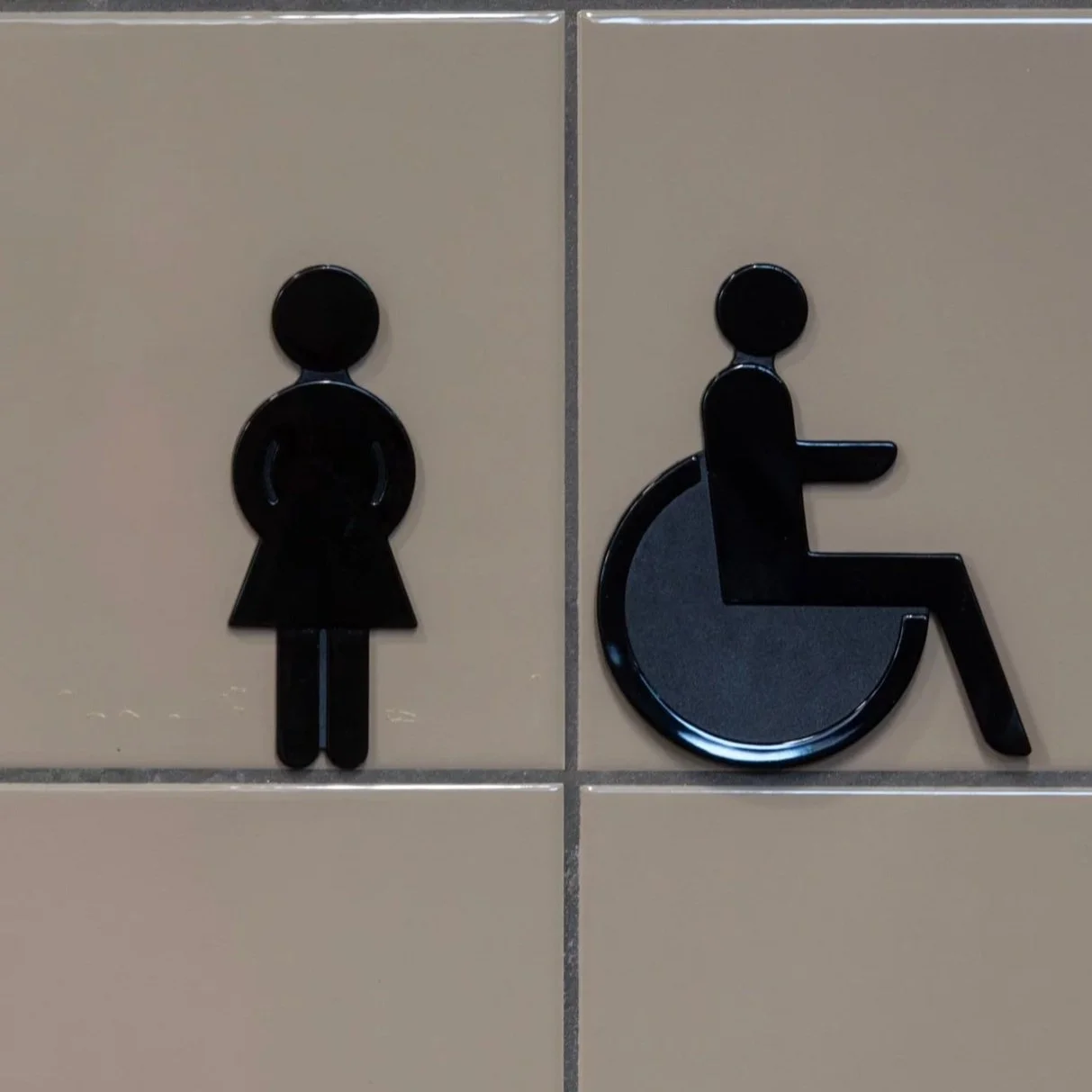 ADA/504 Consulting Options