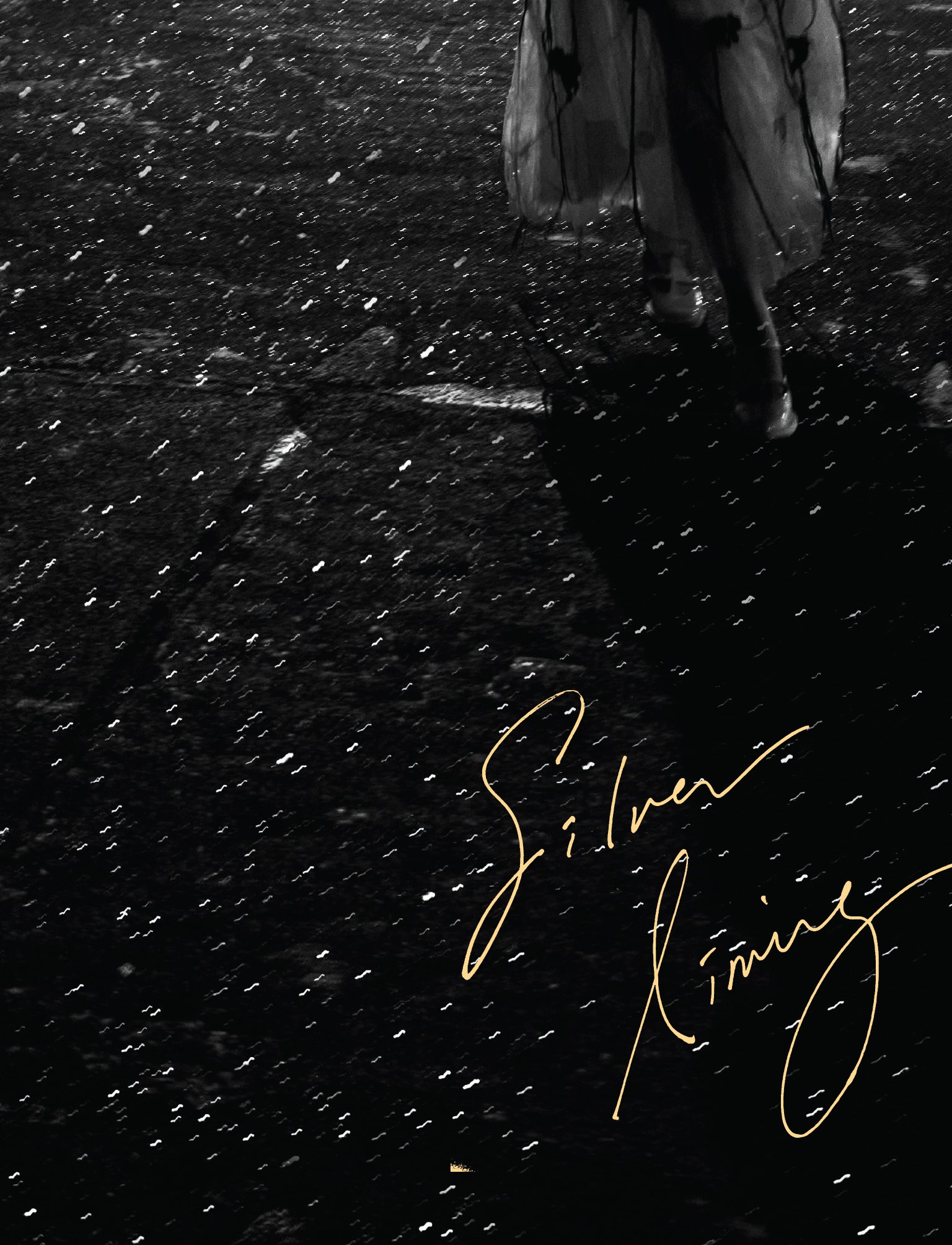 Cloud wan, Close-up of a signed black surface with white speckles, featuring a handwritten signature in gold ink that reads 'J. Mark James'.