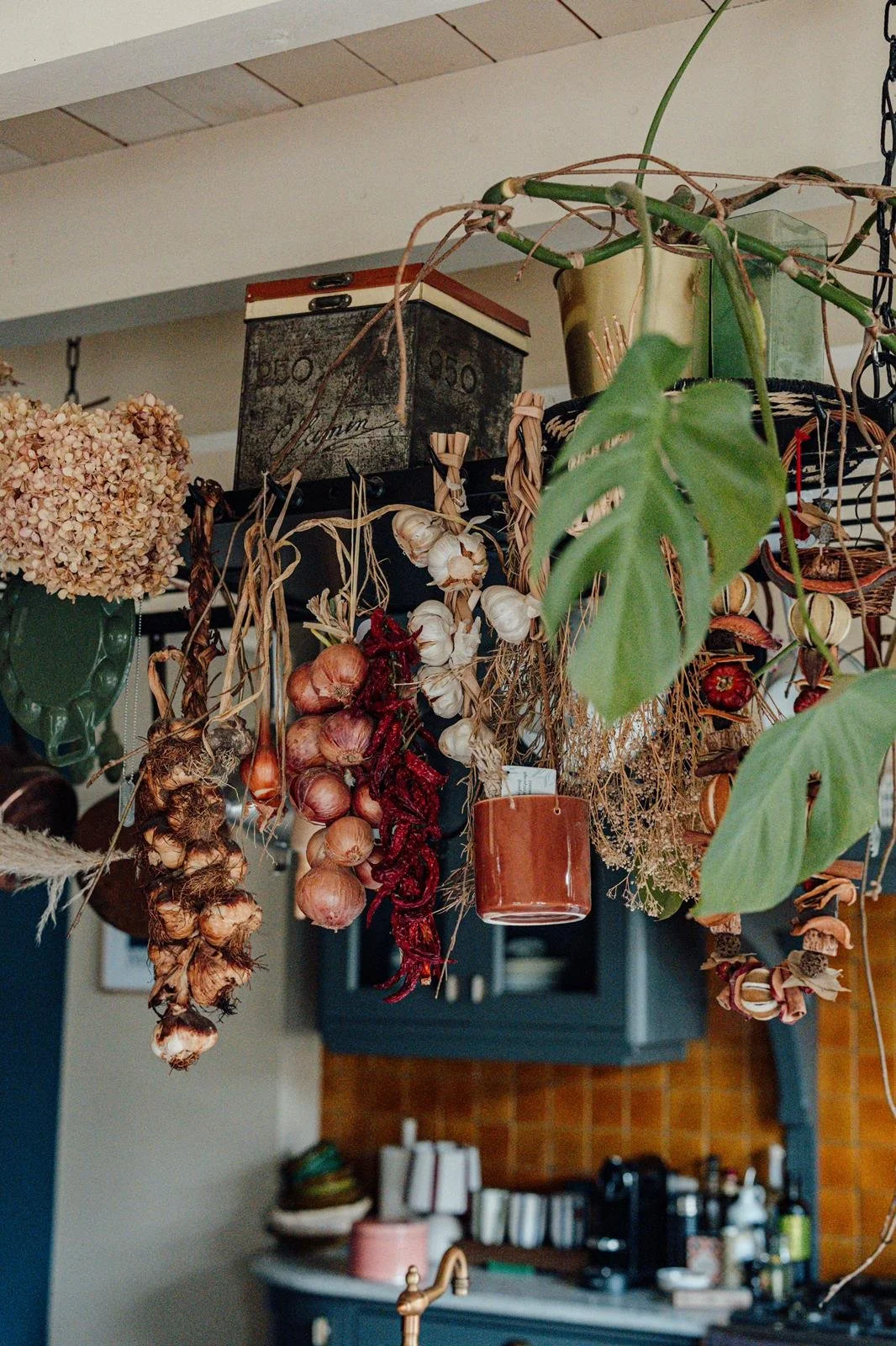 Dried bloemen en kruiden hangen onder een keukenplafond, met groene en vazen op de achtergrond.