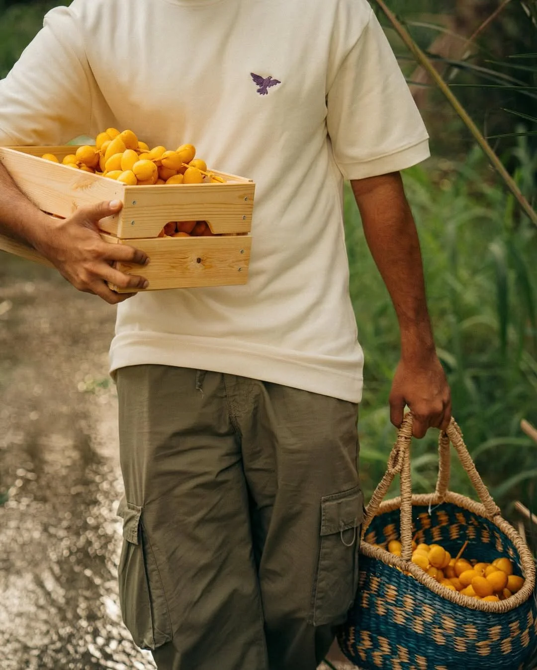 A man holding a wooden crate filled with yellow fruit and a woven basket with more of the same fruit, standing outdoors in what appears to be a farm or garden.