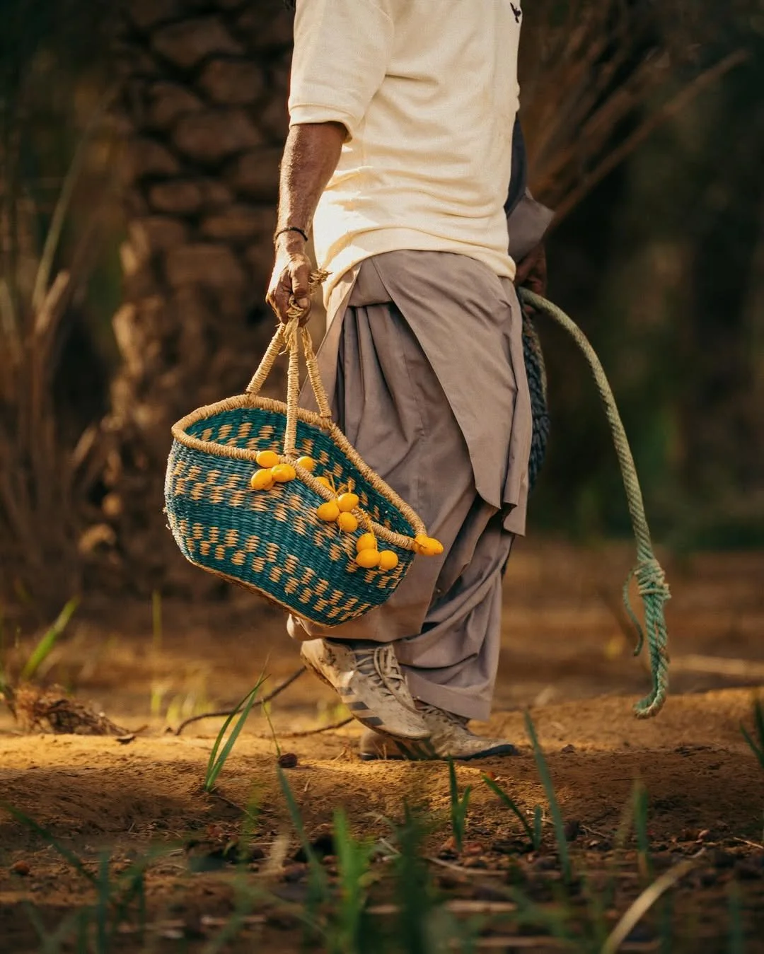 Person carrying a woven basket with yellow fruit, walking outdoors near a palm tree, wearing beige and khaki clothing.