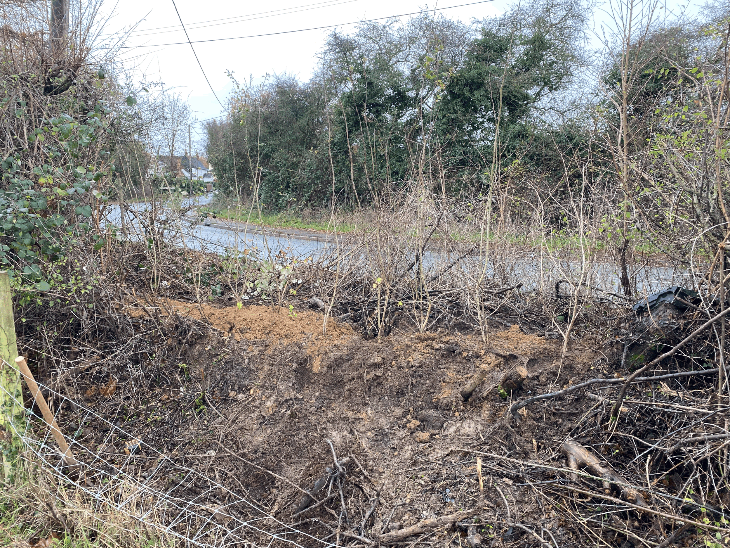 Conservation Managment