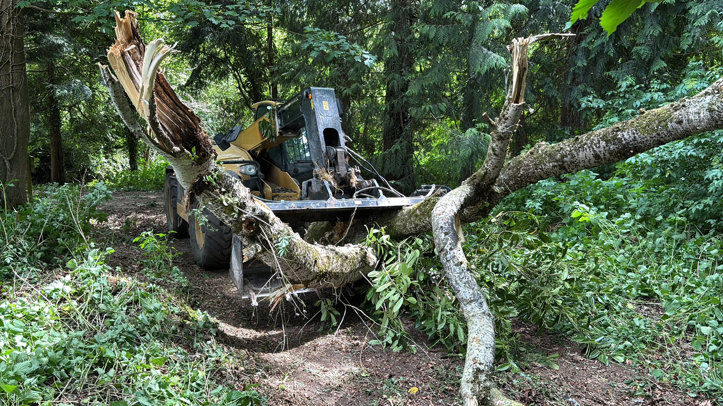 Vegetation Clearance