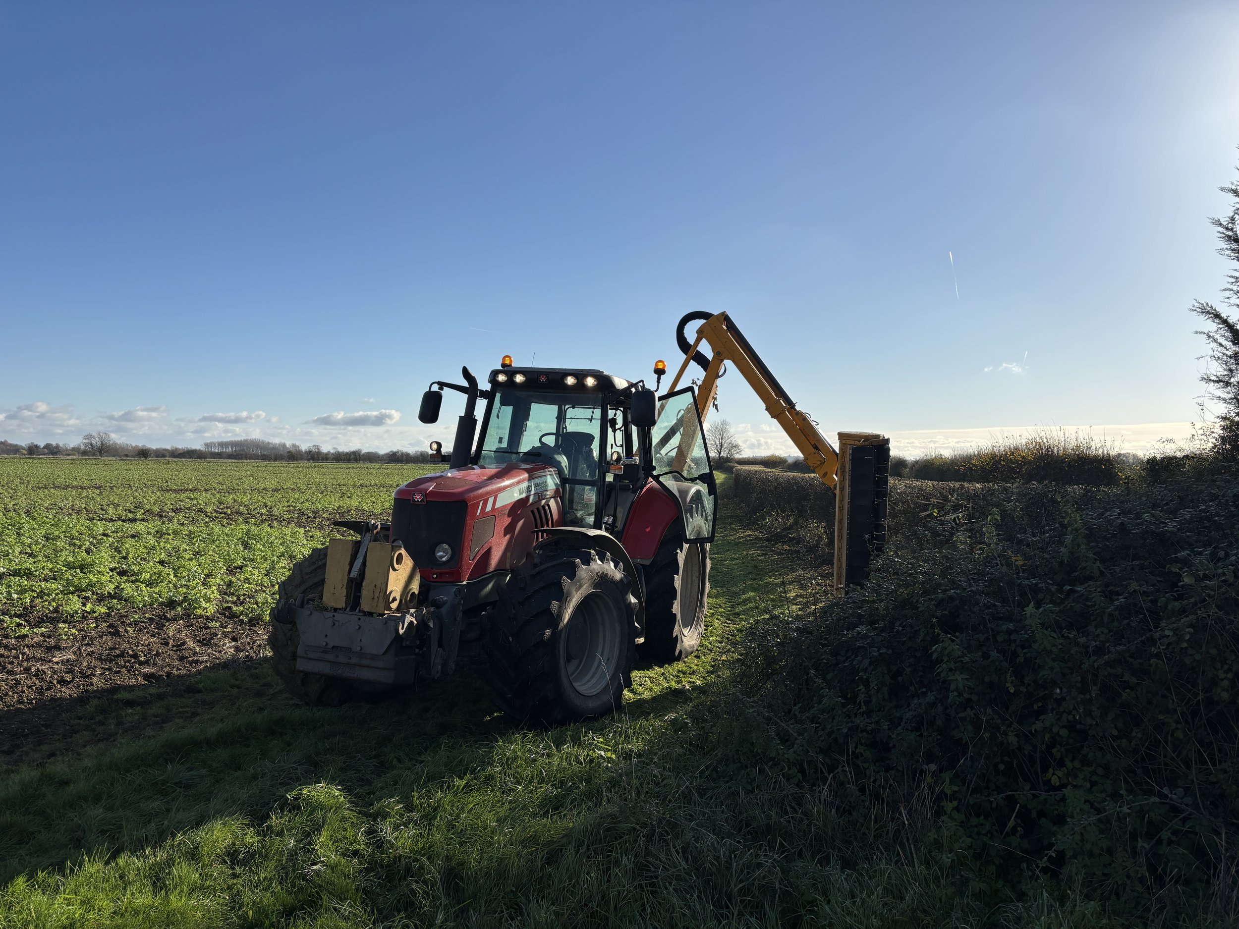 Hedge Cutting 