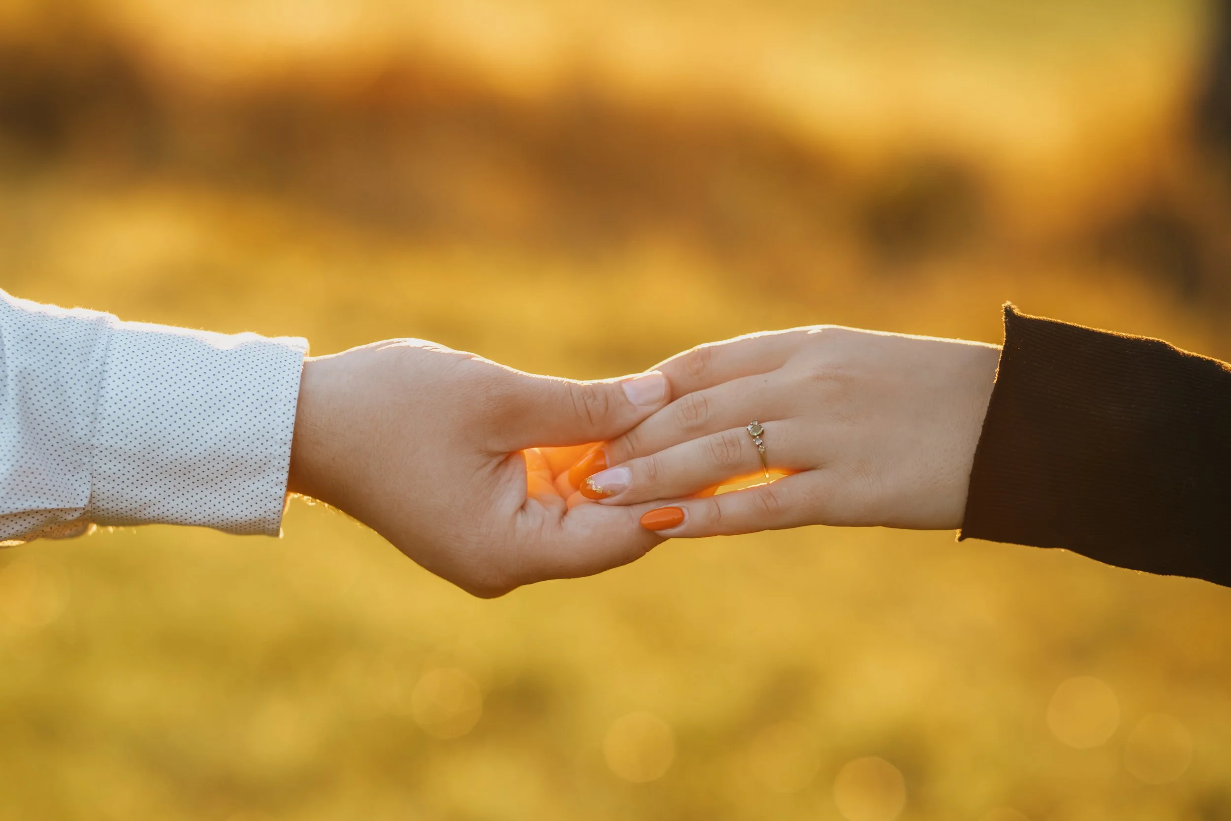 Zwei Menschen halten sich an den Händen, eine Person trägt einen Ring. Die Szene ist im Freien bei Sonnenuntergang.