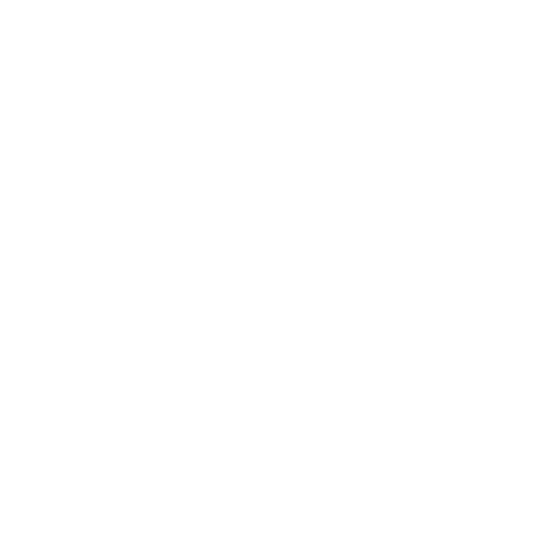 Logo noir et blanc avec un jeune cocotier et le texte "ZIANOU Production".