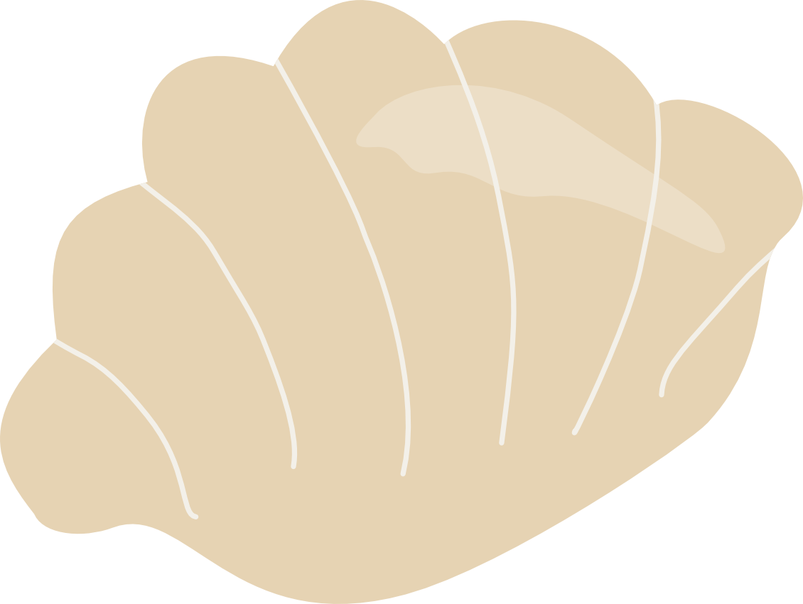 Illustrated shell from the Coastal Coral Reef collection.