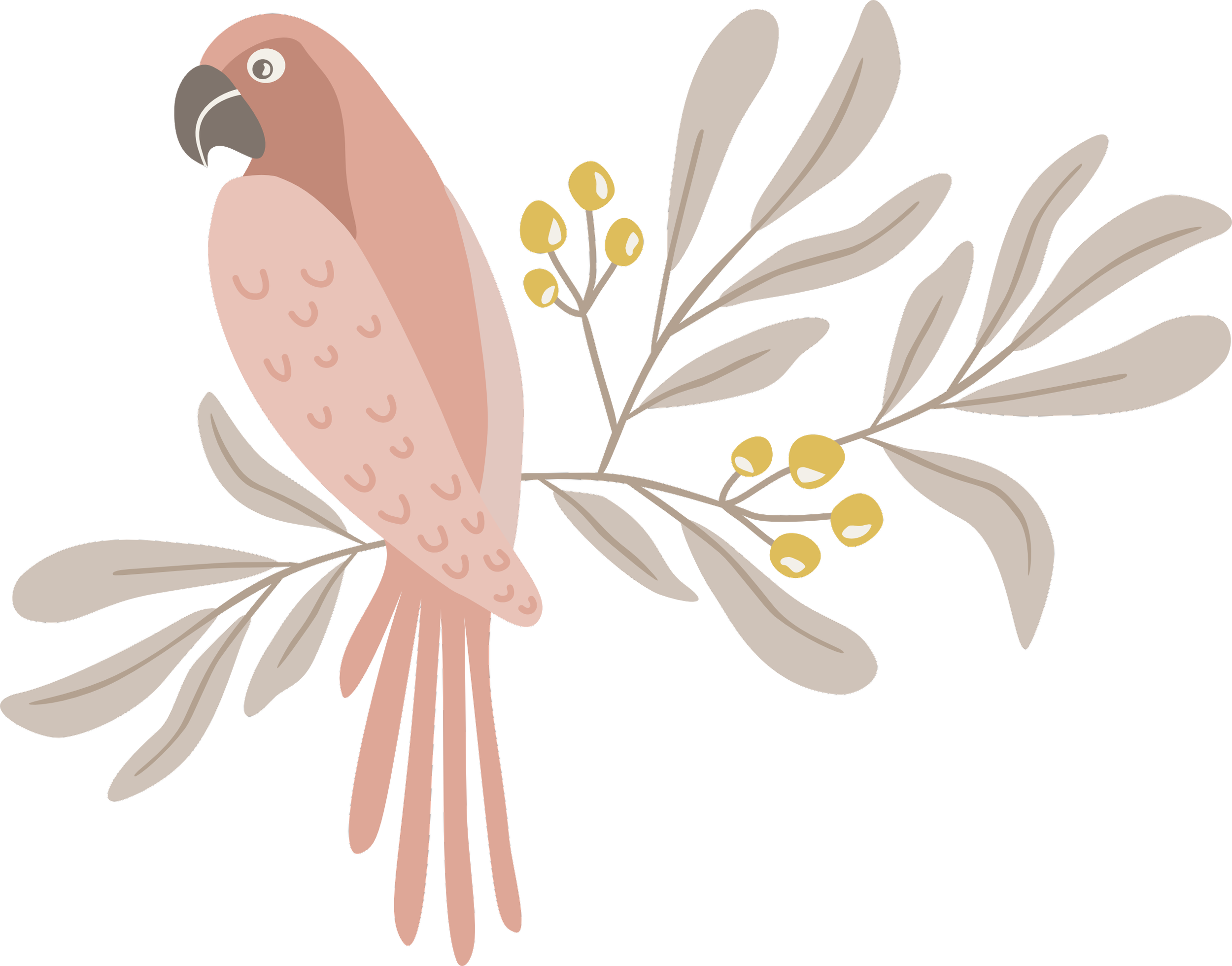 Tropical illustration from the Parrot Garden surface pattern collection