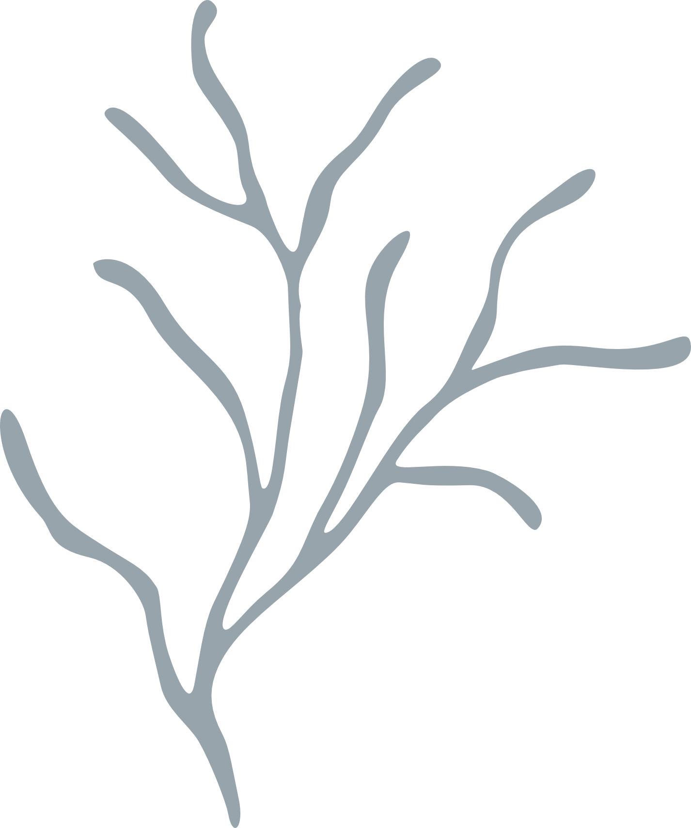Illustrated coral branch from the Coastal Coral Reef collection.