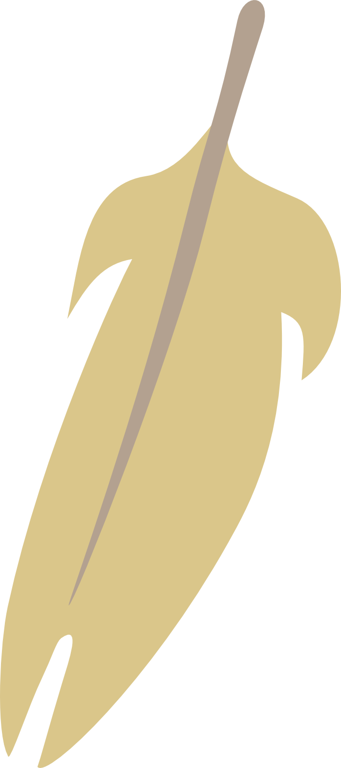 Illustrated tropical feather from the Parrot Garden collection.