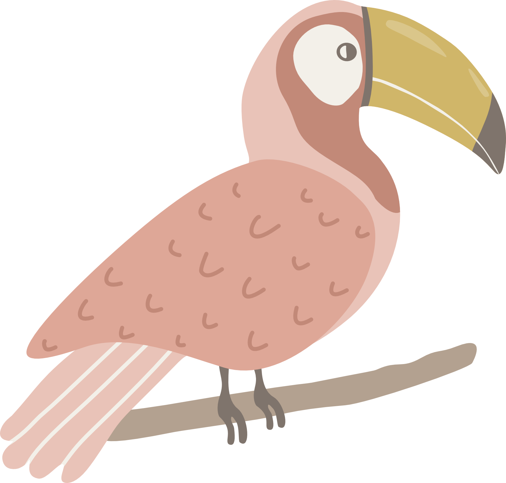 Illustrated toucan perched on a branch from the Parrot Garden collection.
