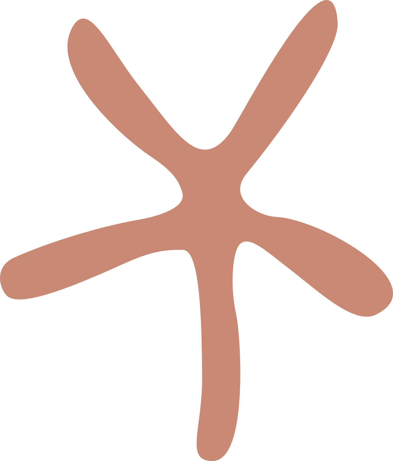 Illustrated orange starfish from the Coastal Coral Reef collection.