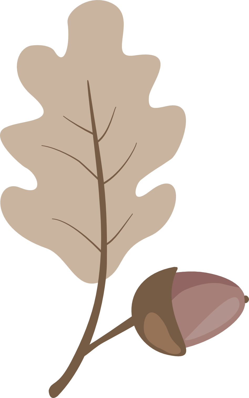 Motif from the Under the oaks surface pattern collection featuring oak leaf and acorn by Daniela Ciarnota.