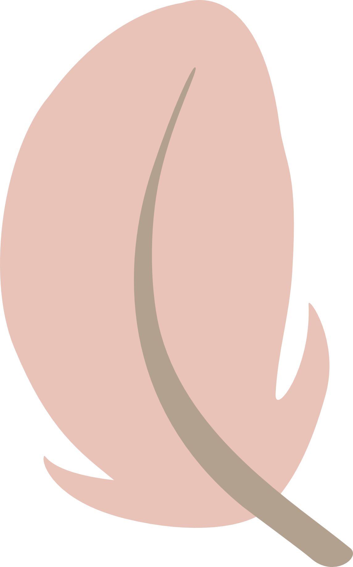 Illustrated tropical feather from the Parrot Garden collection.