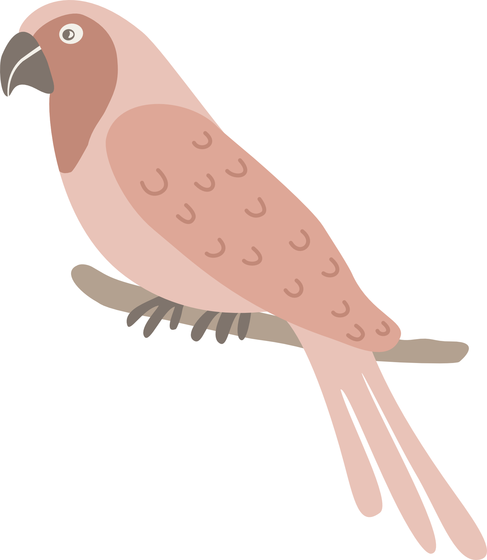 Illustrated parrot perched on a branch from the Parrot Garden collection.
