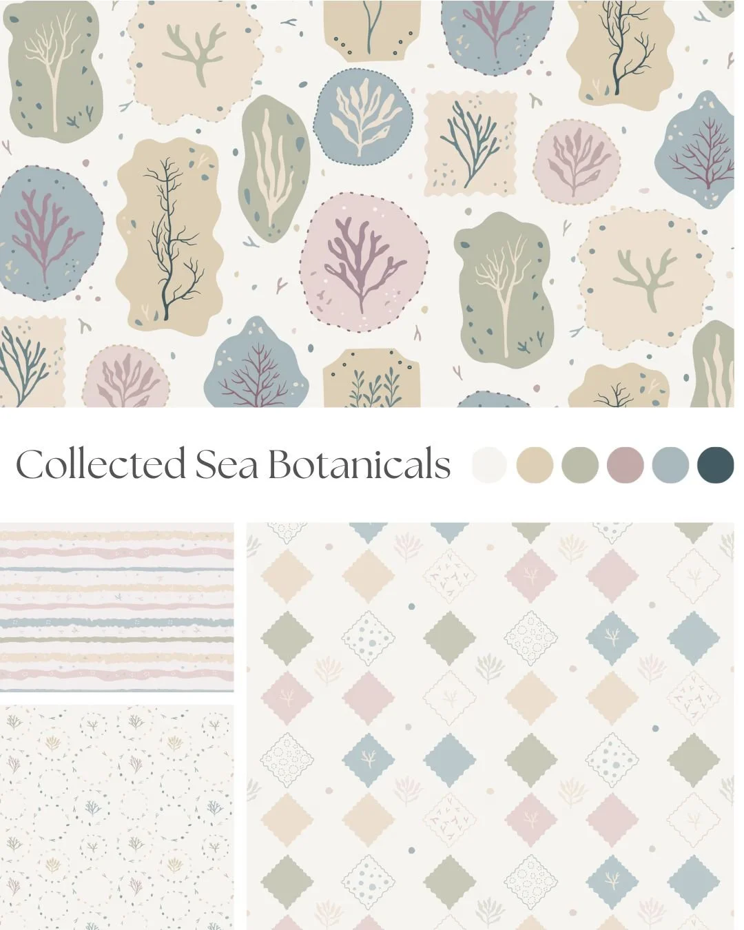 Collected Sea Botanicals pattern collection featuring vintage-inspired seaweed specimen illustrations in a soft coastal color palette.