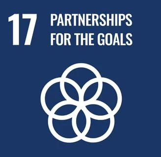 UN Sustainable Development Goal 17. SDG 17.