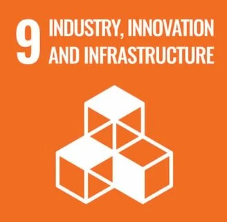 UN Sustainable Development Goal 9. SDG 9.