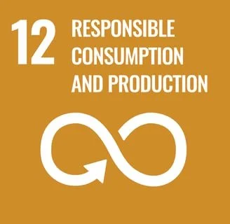 UN Sustainable Development Goal 12. SDG 12.