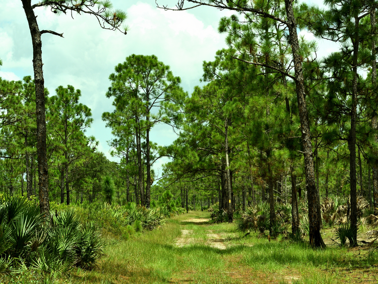 Parks trails and outdoor lifestyle in Lakewood Ranch Florida