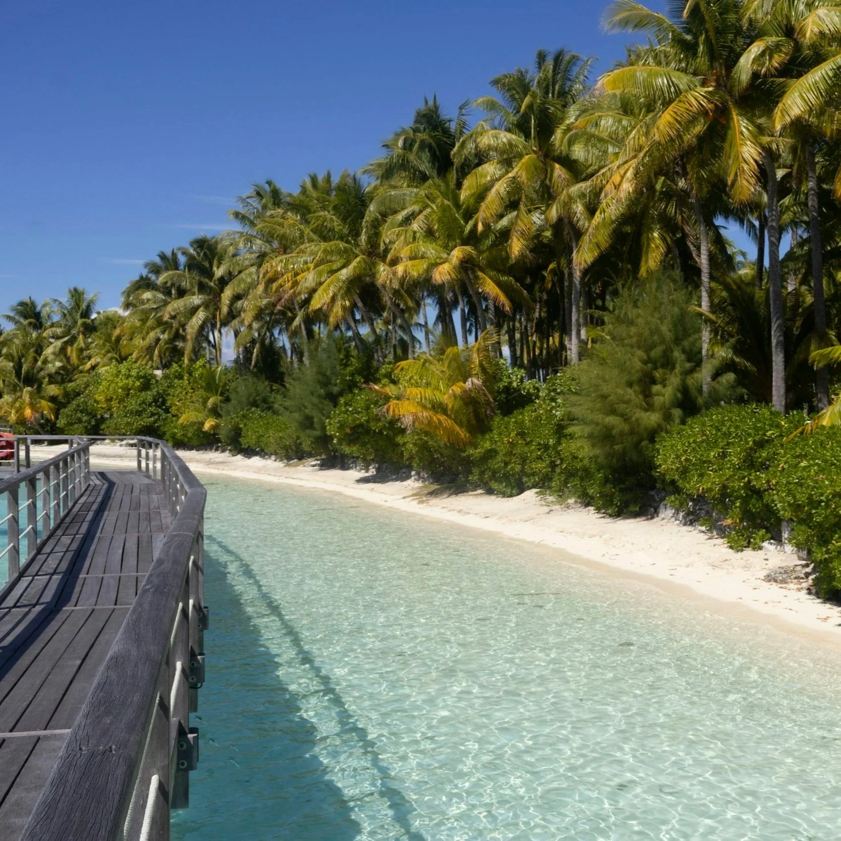 Coastal lifestyle on Longboat Key near Sarasota, Florida