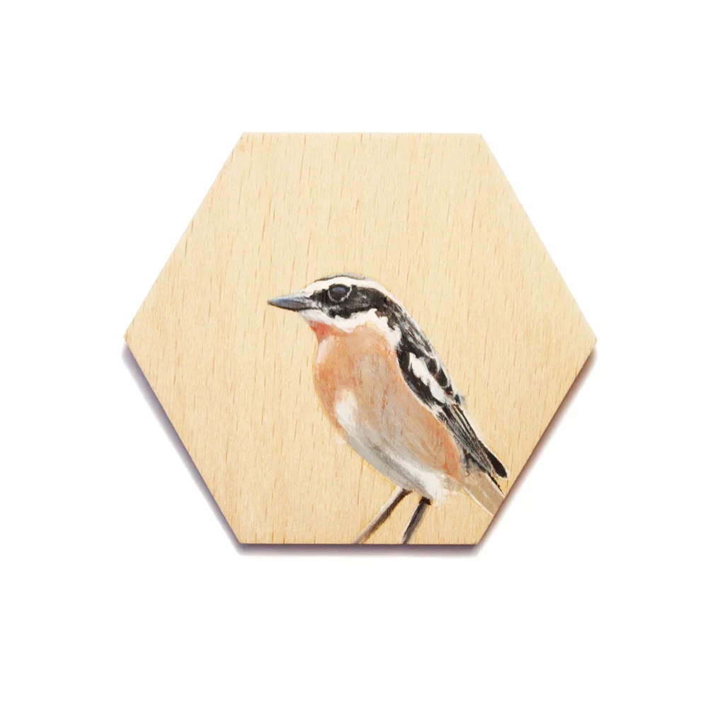Braunkehlchensechseck72dpi.webp