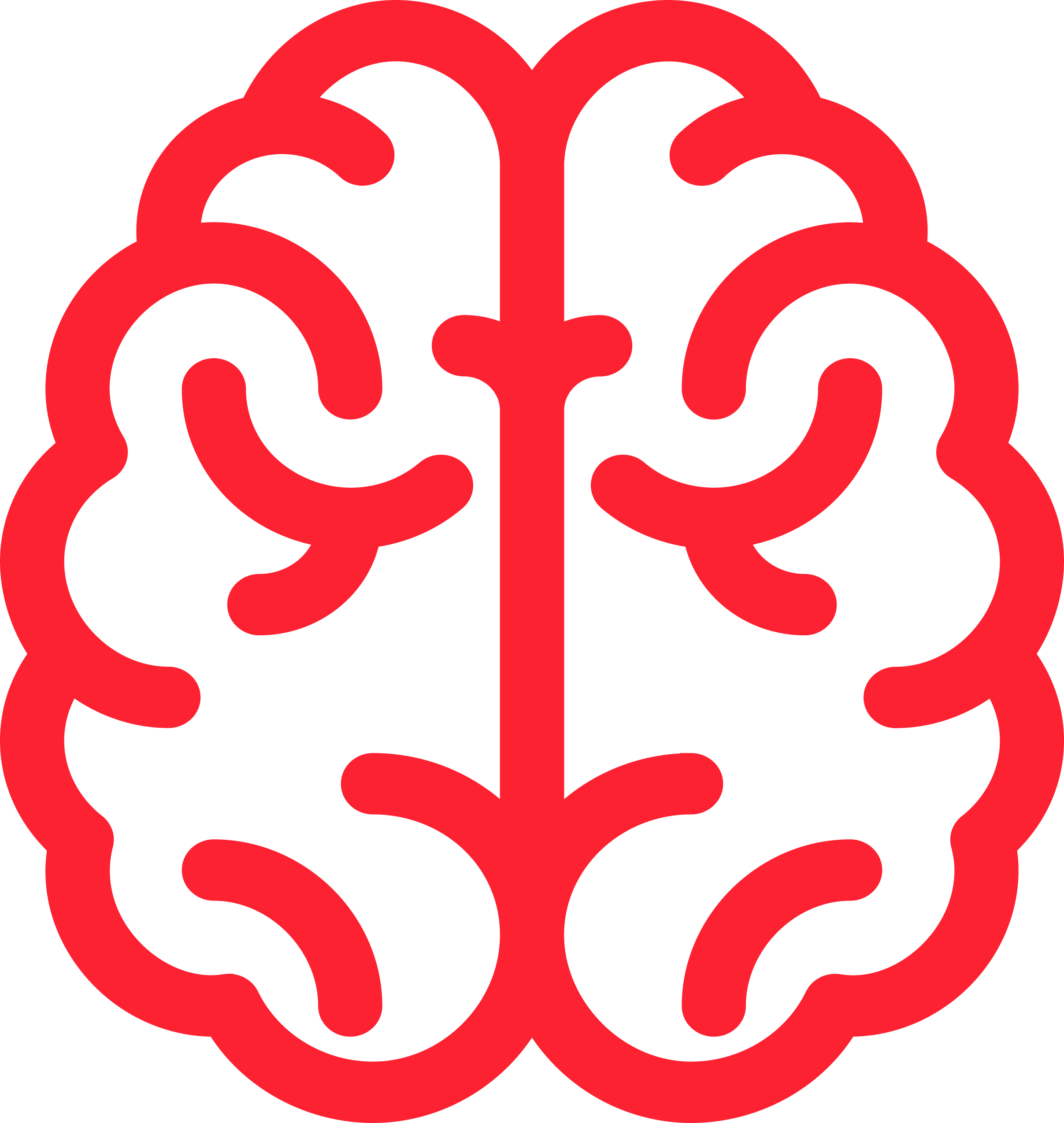 Red and black brain icon