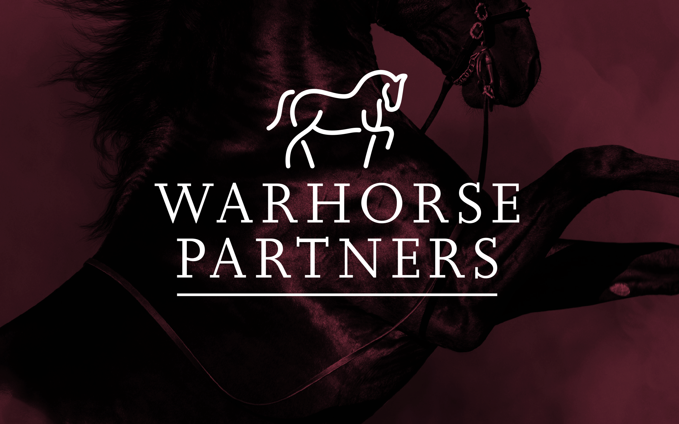 Warhorse Partners: Brand Identity