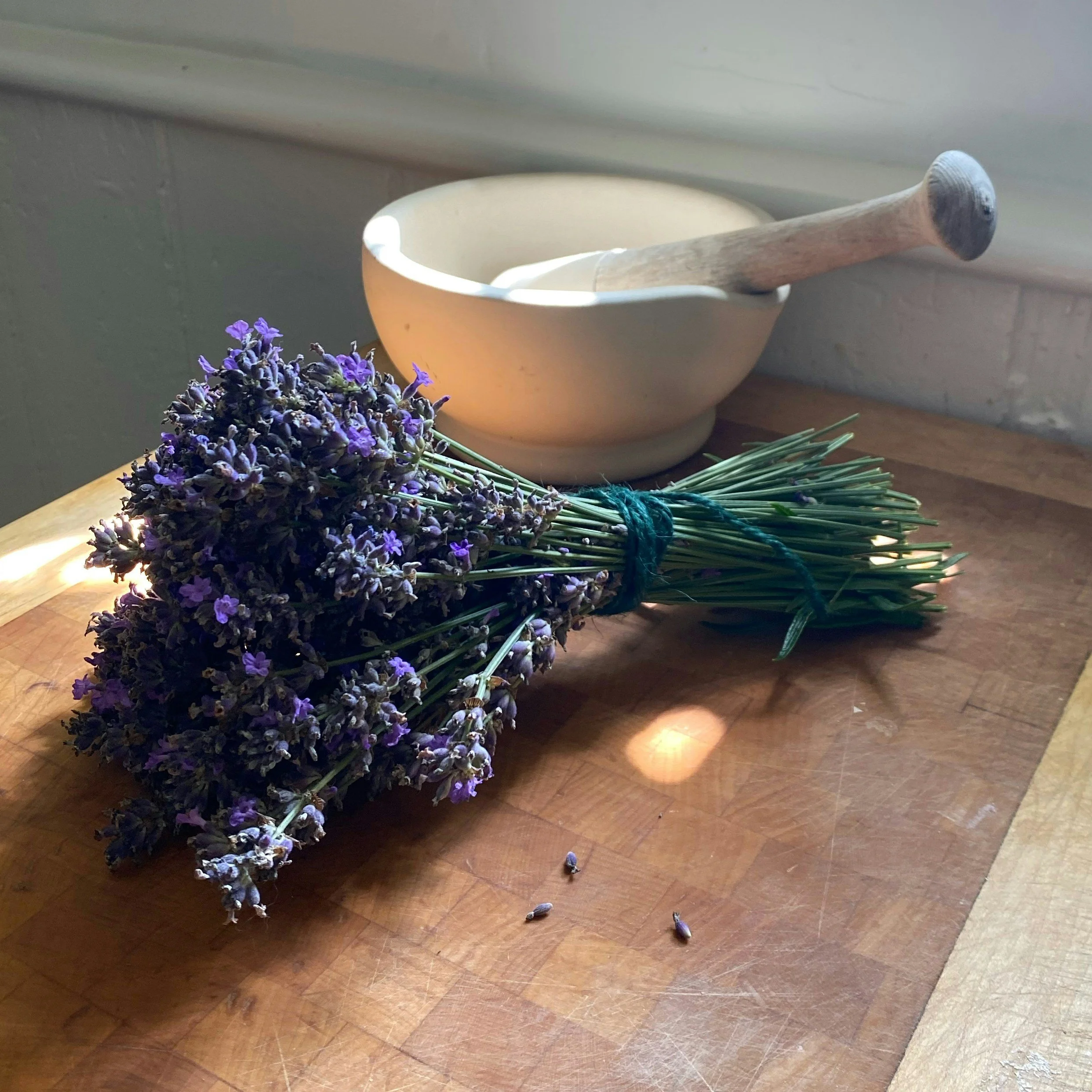 Lavender: More Than a Pretty Smell — A Complete Herb Profile
