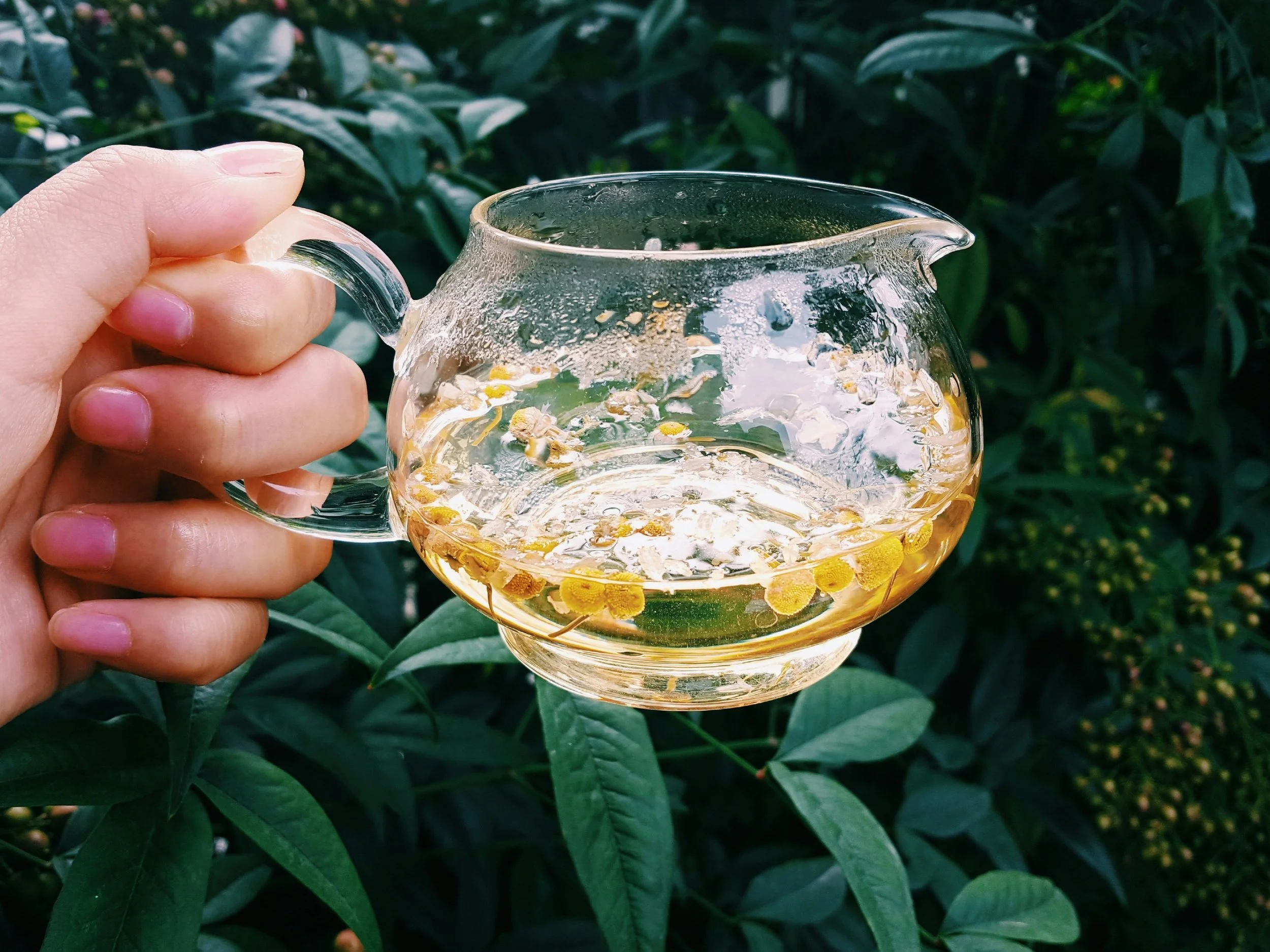 Cooling Herbal Iced Tea Blends for Summer: 4 Recipes That Actually Do Something